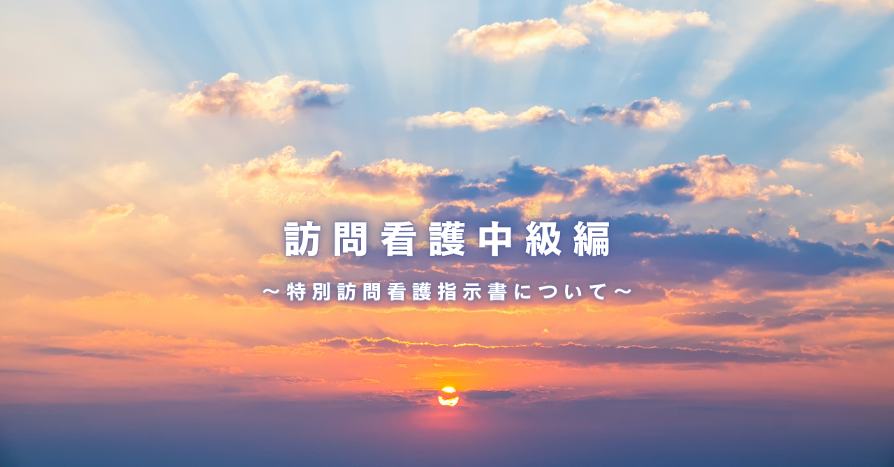 「もう怖くない！特別訪問看護指示書の読み方・活かし方完全ガイド」